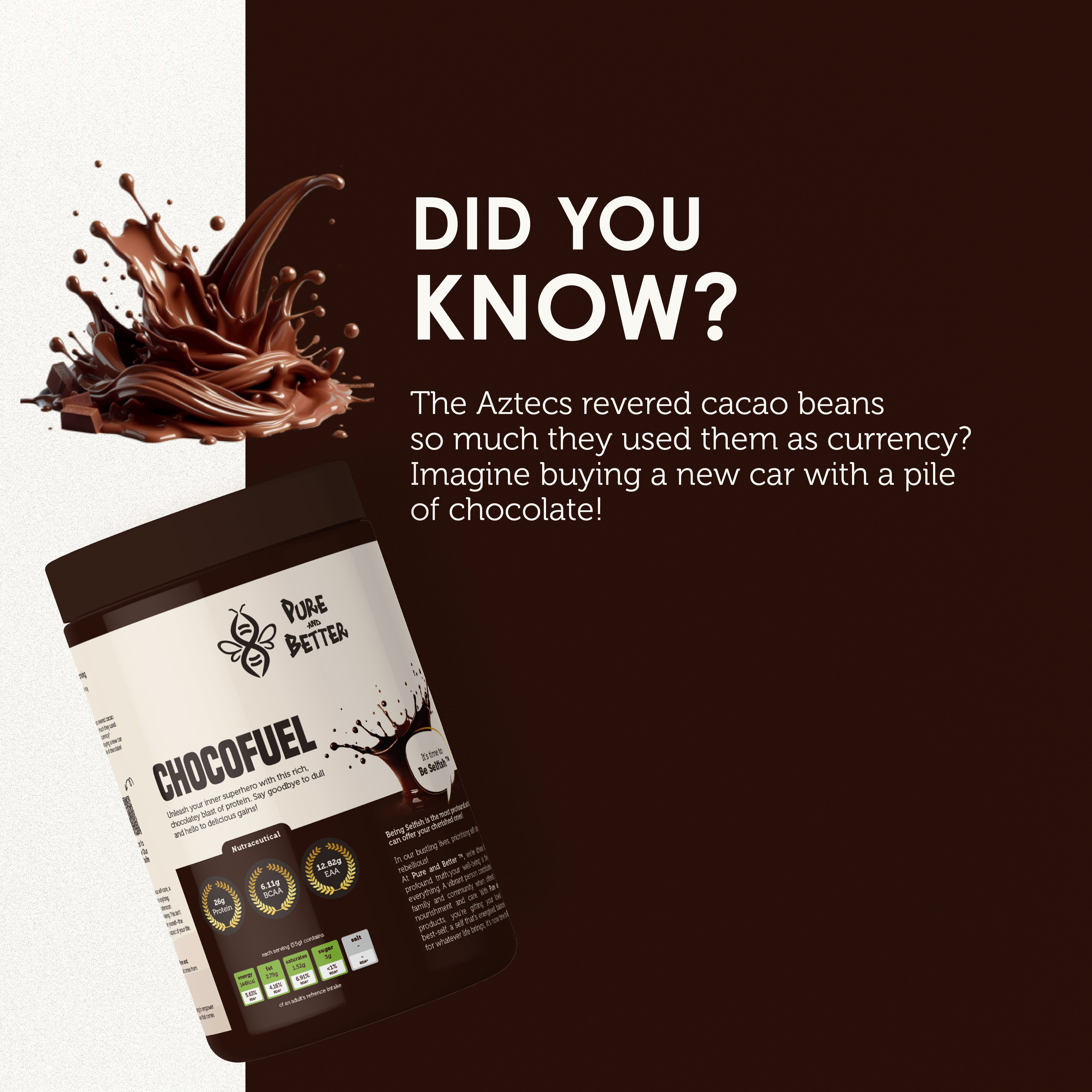 Chocofuel Protein Jar – 26g Whey Protein | 500g Total