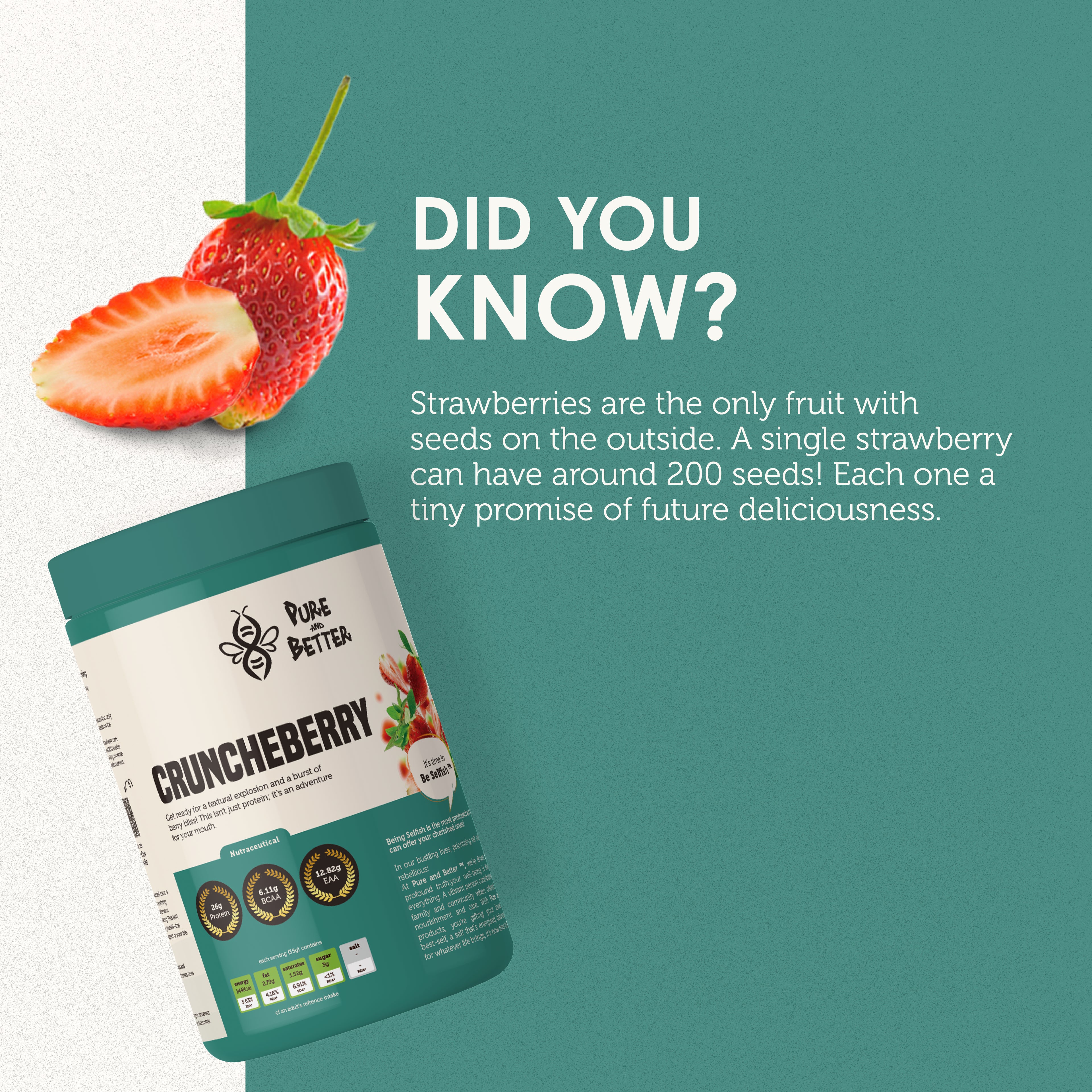 Crunchberry Protein Jar – 26g Whey Protein | 500g Total