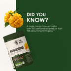 Mangolicious Protein Jar – 26g Whey Protein | 500g Total