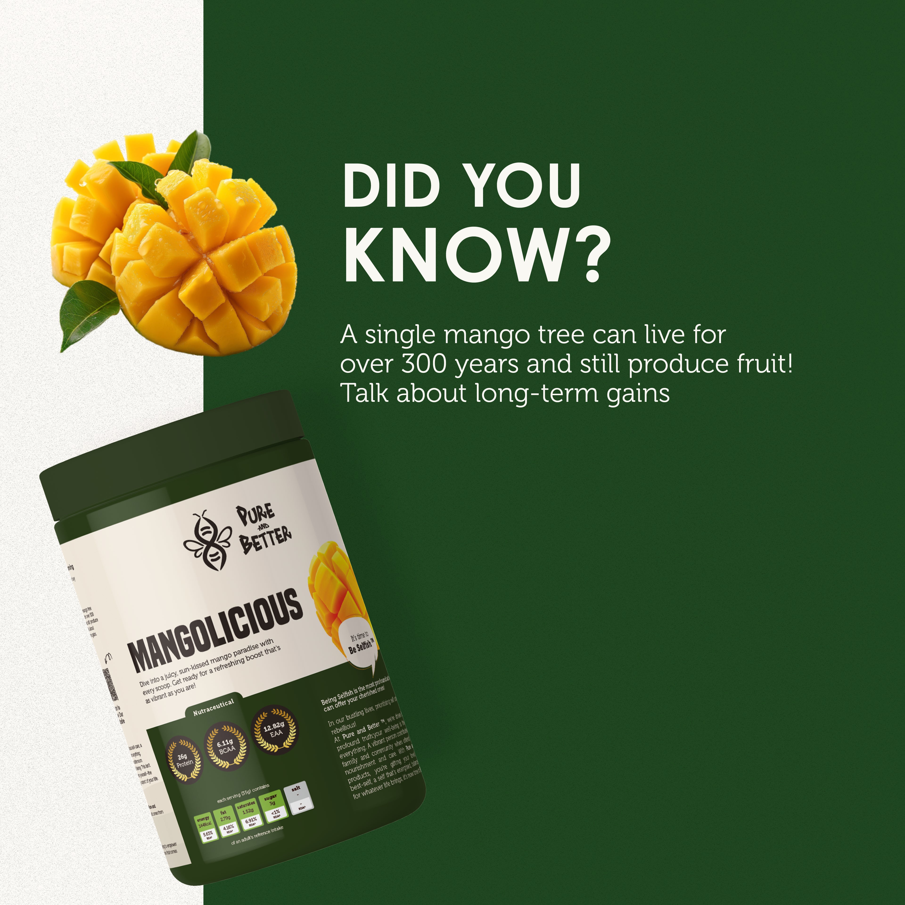 Mangolicious Protein Jar – 26g Whey Protein | 500g Total