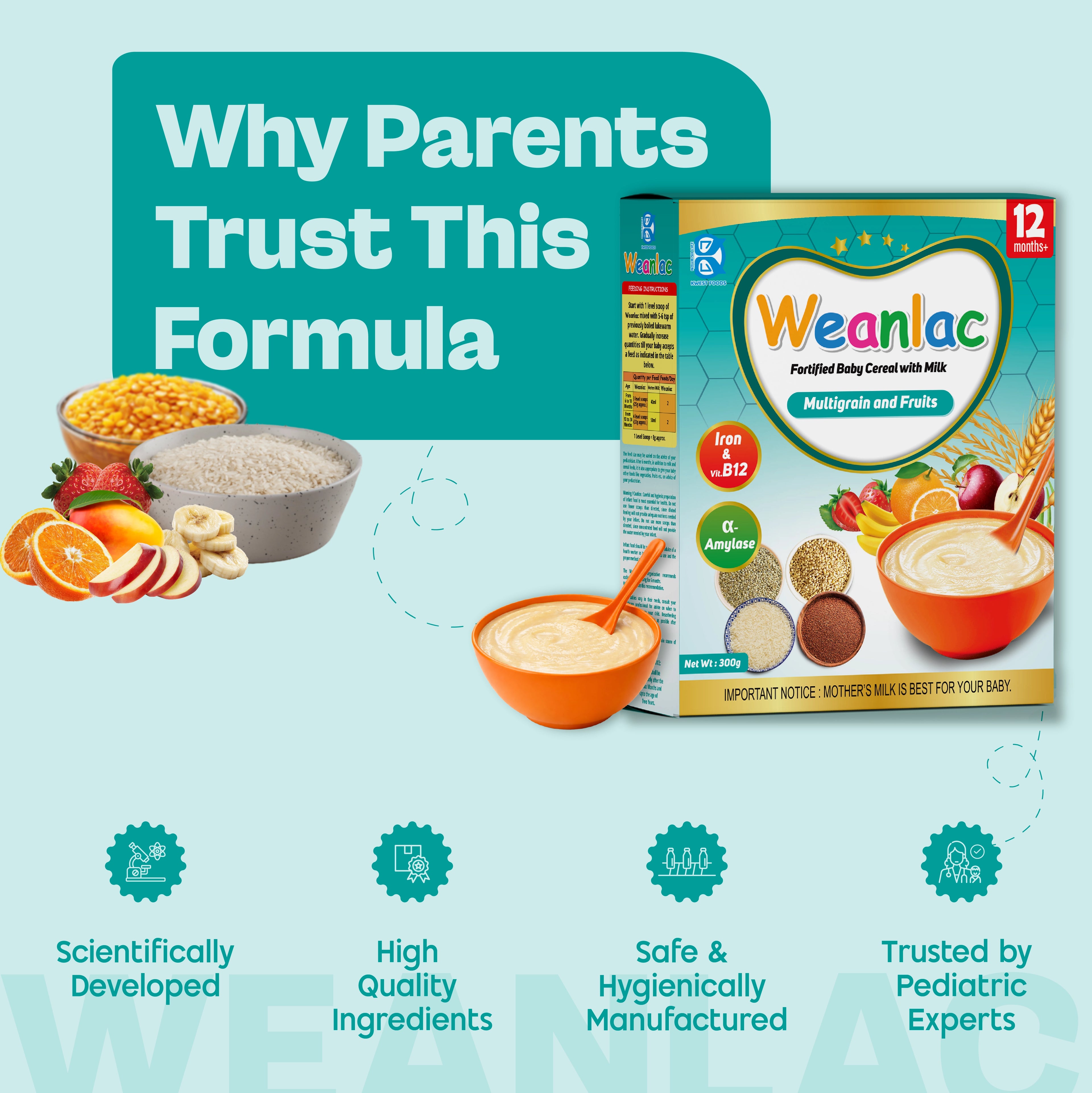 Weanlac Infant Cereal – Multigrain and Fruits