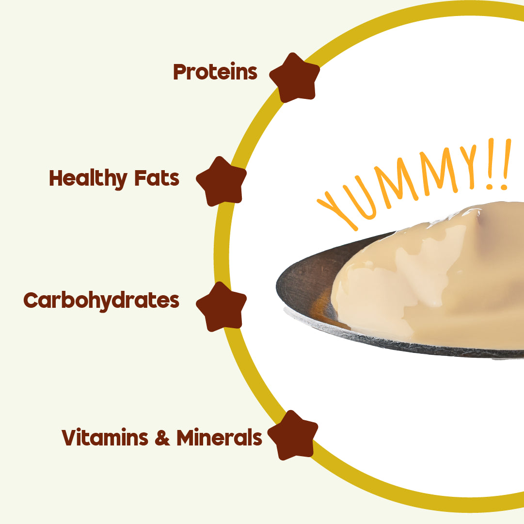 Knectarlac Infant Cereal – Multigrains and Mixedfruits