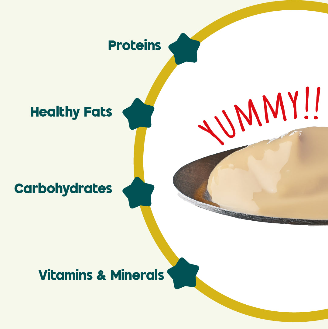 Knectarlac Infant Cereal – Oats, Rice, Strawberry and Banana