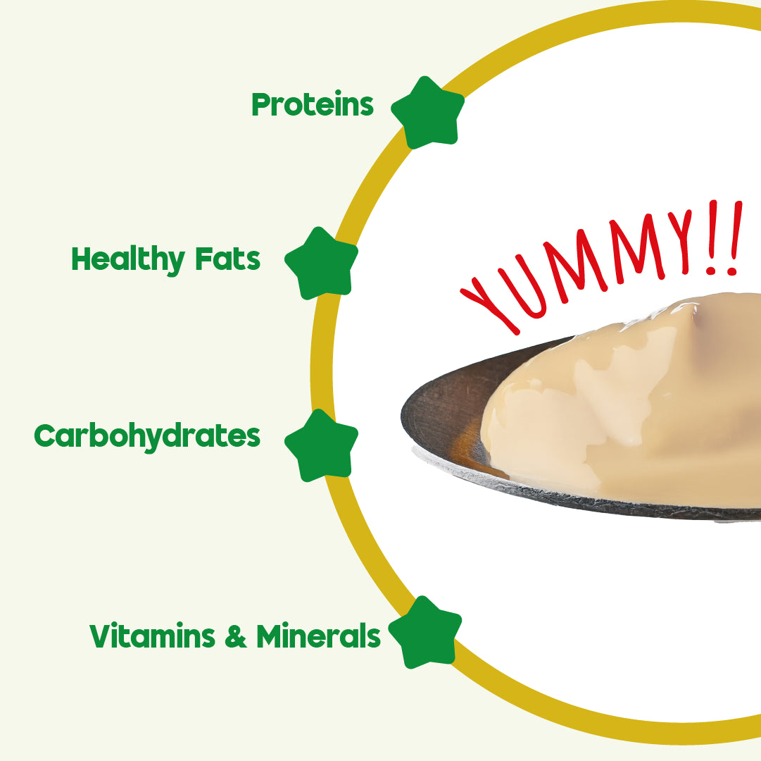 Knectarlac Infant Cereal – Rice and Vegetables
